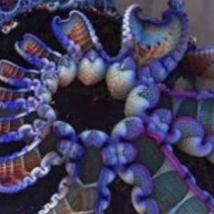 Meet your Posher, Skye